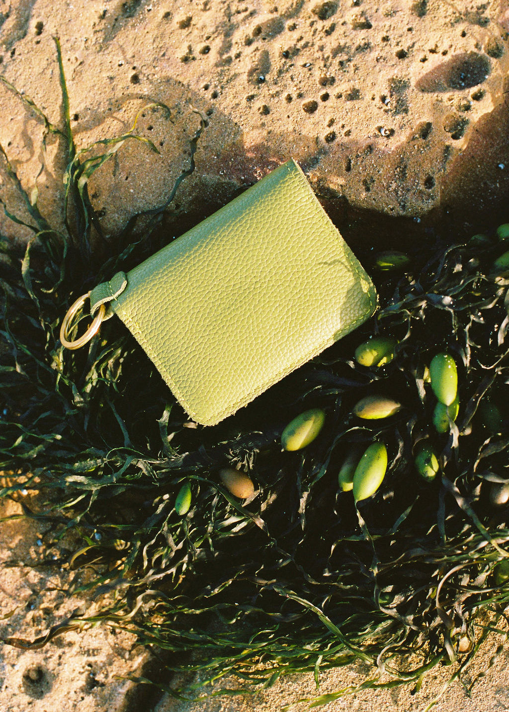 DÓRA LEATHER WALLET | KIWI Leather Bag - handcrafted by Market Canvas Leather in Tofino, BC, Canada