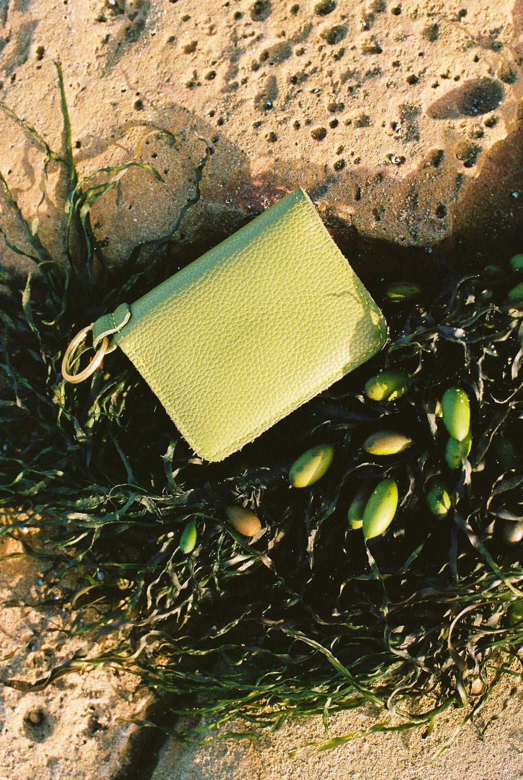 DÓRA LEATHER WALLET | KIWI Leather Bag - handcrafted by Market Canvas Leather in Tofino, BC, Canada